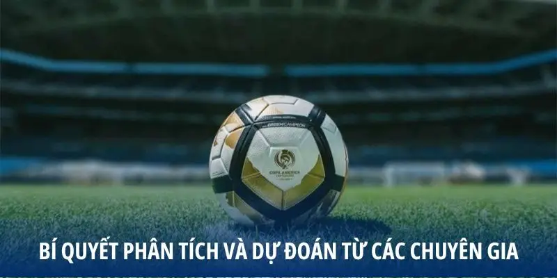 Bí quyết phân tích và dự đoán từ các chuyên gia
