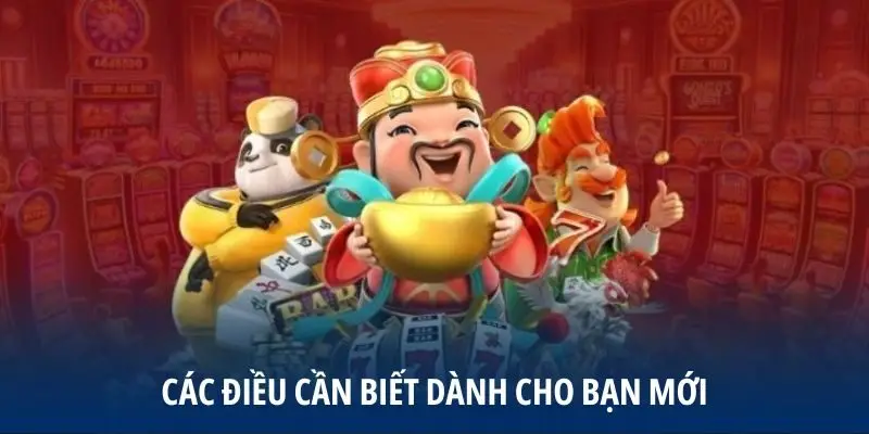 Các điều cần biết dành cho bạn mới