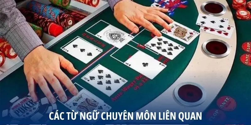 Các từ ngữ chuyên ngành cần hiểu rõ