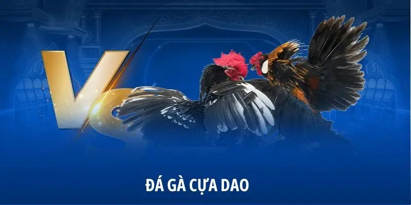 Đá Gà Cựa Dao là gì