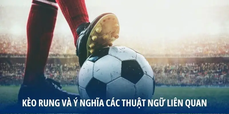 Kèo rung và ý nghĩa các thuật ngữ liên quan