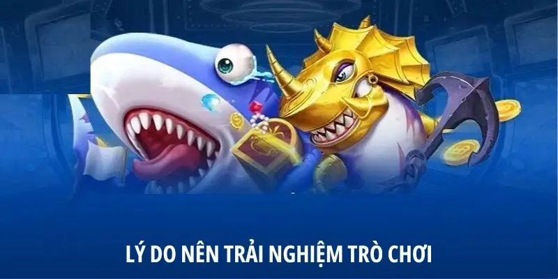 Lý do nên trải nghiệm trò chơi