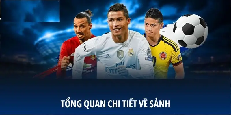 Tổng quan chi tiết về sảnh